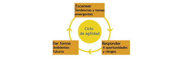 Ciclo de agilidad